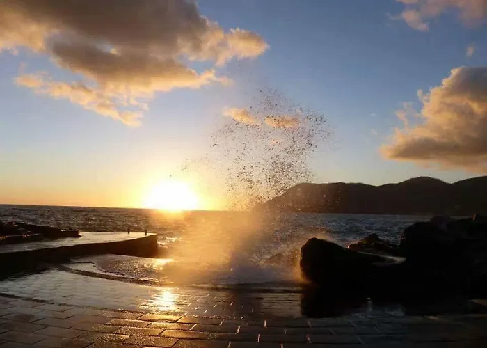 Rollando 베르나차